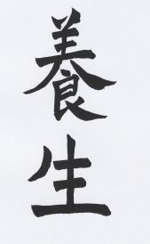 JT CZ 85 Yang Shön.jpg